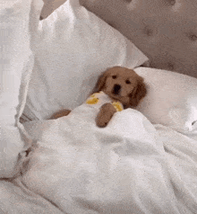 cozy-warm-and-cozy.gif