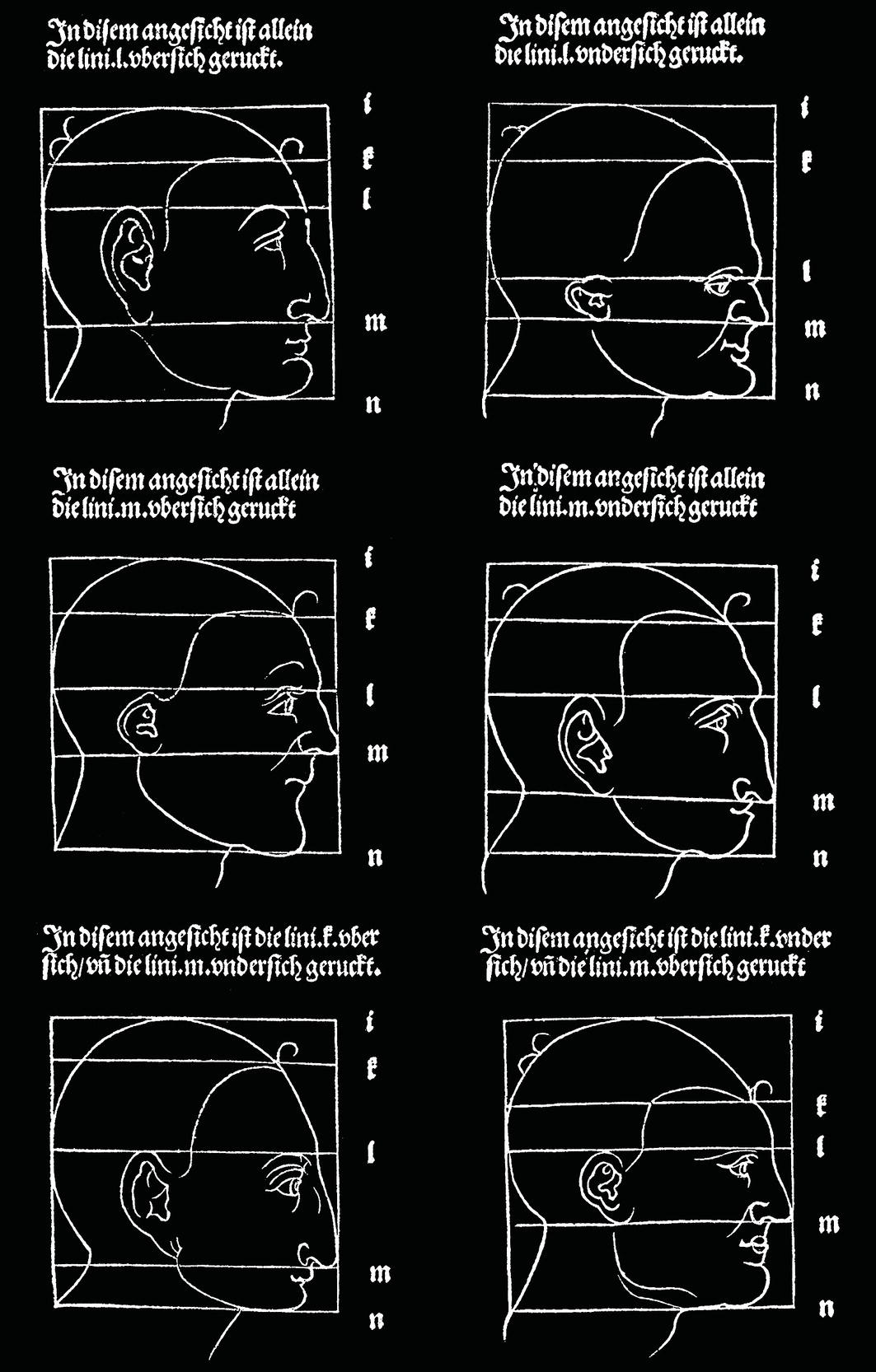 A grid of six profile illustrations of different faces, each labeled with annotations. Each image features distinct head shapes and outlines against a dark background, showcasing various facial characteristics.