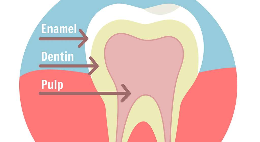 41877b7db7 109958 email dentine