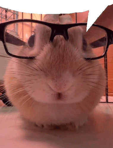 a close up of a rabbit wearing glasses with a speech bubble in the background
