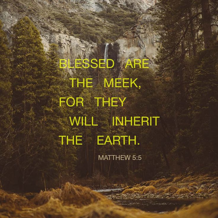 This may contain: a mountain with trees and grass in the foreground is an image of a waterfall, which reads, blessed are the meer, for they will infert the earth