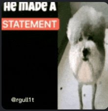 a picture of a dog with the words he made a statement