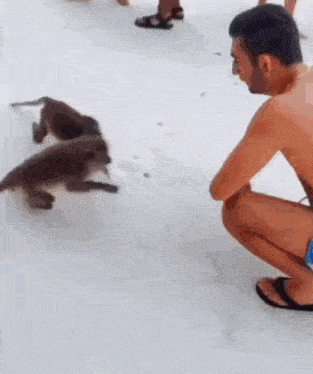 a shirtless man is squatting down in front of a group of monkeys