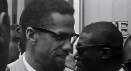 maripcsas-malcolmx.gif