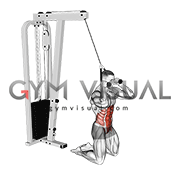 Cable Kneeling Crunch (VERSION 2)