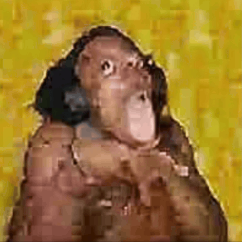 a close up of a monkey 's face on a yellow background