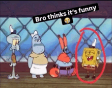 Funny Bro GIFs | Tenor