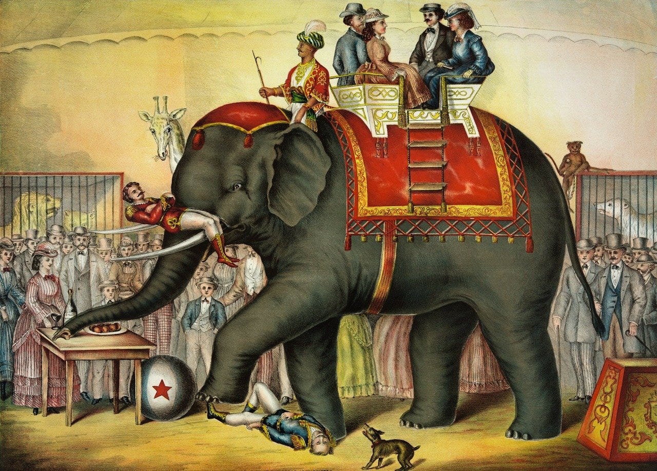 Dangerous circus animals of the past | Writers' Blokke