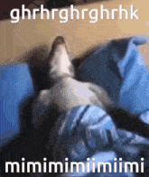 Grrr Mimi GIF - Grrr Mimi Zzz GIFs