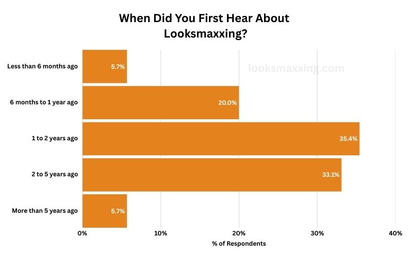 When-Did-You-First-Hear-About-Looksmaxxing.jpg