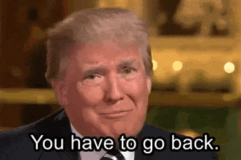 donaldtrump-youhavetogoback.gif