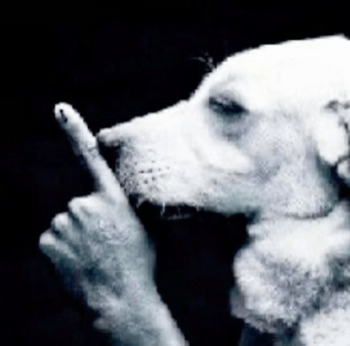 shhh-dog.png