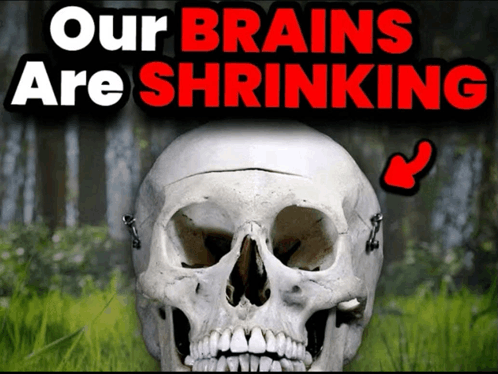 Brain Shrink Our Brains Are Shrinking Meme - Brain shrink Our brains are  shrinking Shrink - Discover & Share GIFs