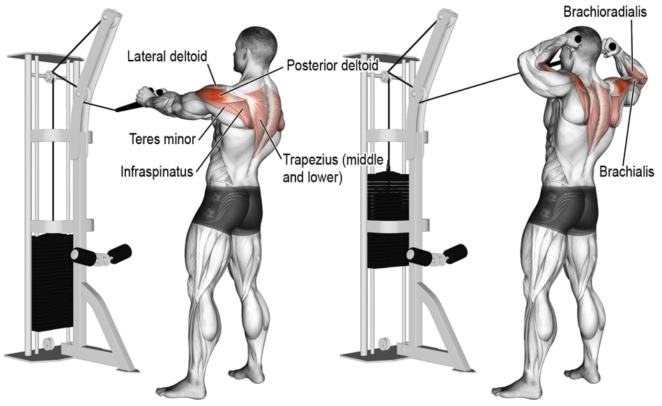 face-pull-exercise-muscles-worked-details.jpg