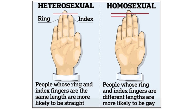 Study reveals length of fingers could be connected to your sexuality ...