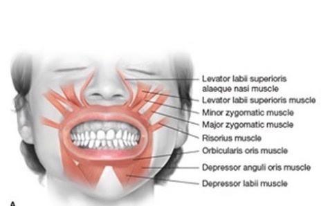 Mouth Widening Guide