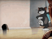 tom-book.gif
