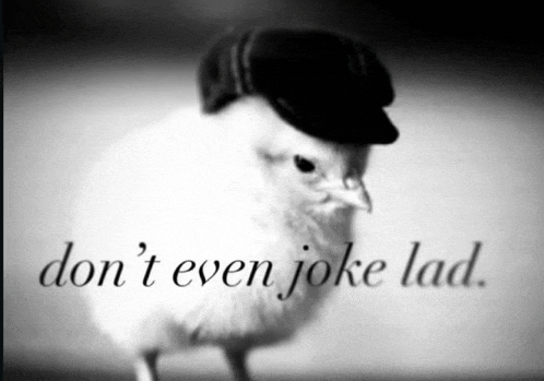 a black and white photo of a bird wearing a hat with the words  don 't even joke lad  written below it