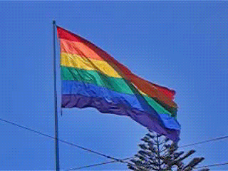 Gay flag gif imagenes - lalapacore