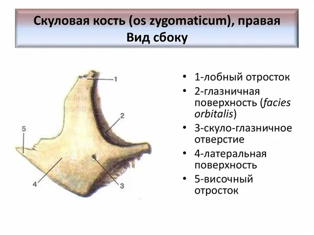 1788535798017.png