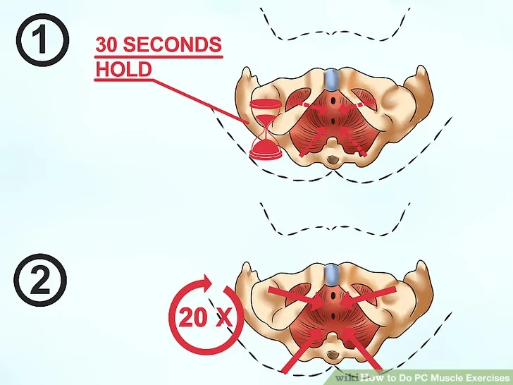 Image titled Do PC Muscle Exercises Step 5