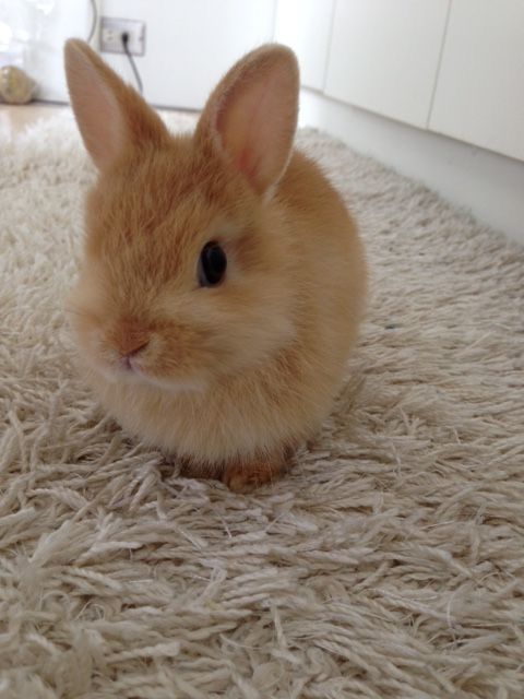 pinterest; @x0_jesss ♡