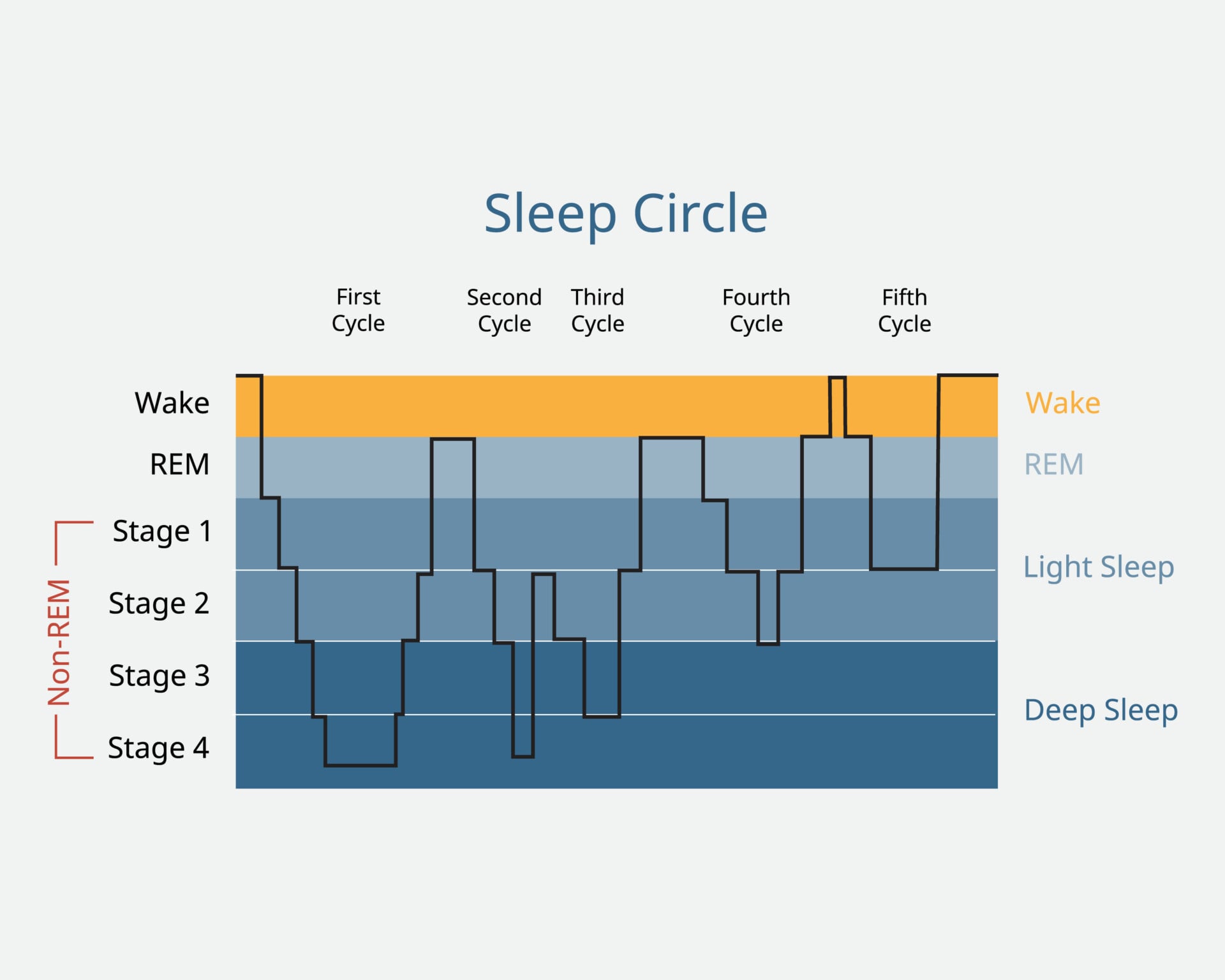 5 Stages of Sleep: Psychology, Cycle & Sequence