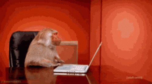 a monkey is sitting at a desk with a laptop on it