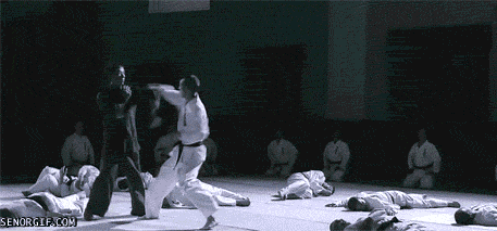 Kung Fu Punching GIF by Cheezburger - Find & Share on GIPHY