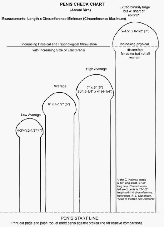 penis-chart.jpg