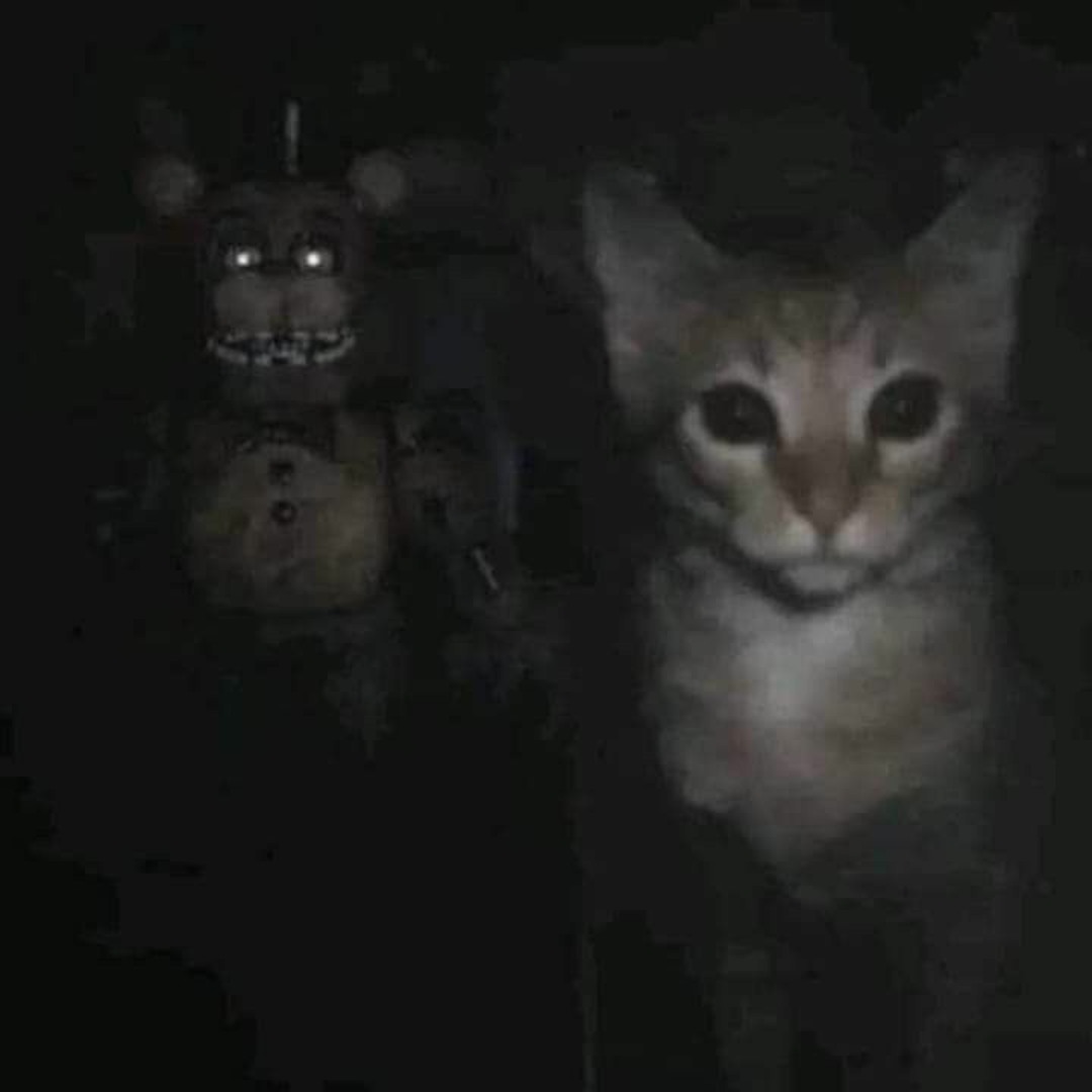 Stream he's right behind me, isn't he... by roughpatch | Listen online for  free on SoundCloud