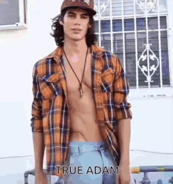 a shirtless man in a plaid shirt is standing in front of a window with the words true adam below him