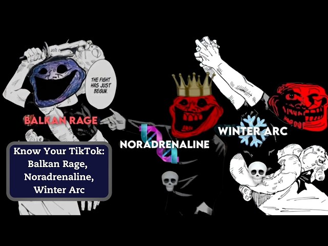 New TikTok Brainrot: Balkan Rage + Noradrenaline + Winter Arc EXPLAINED