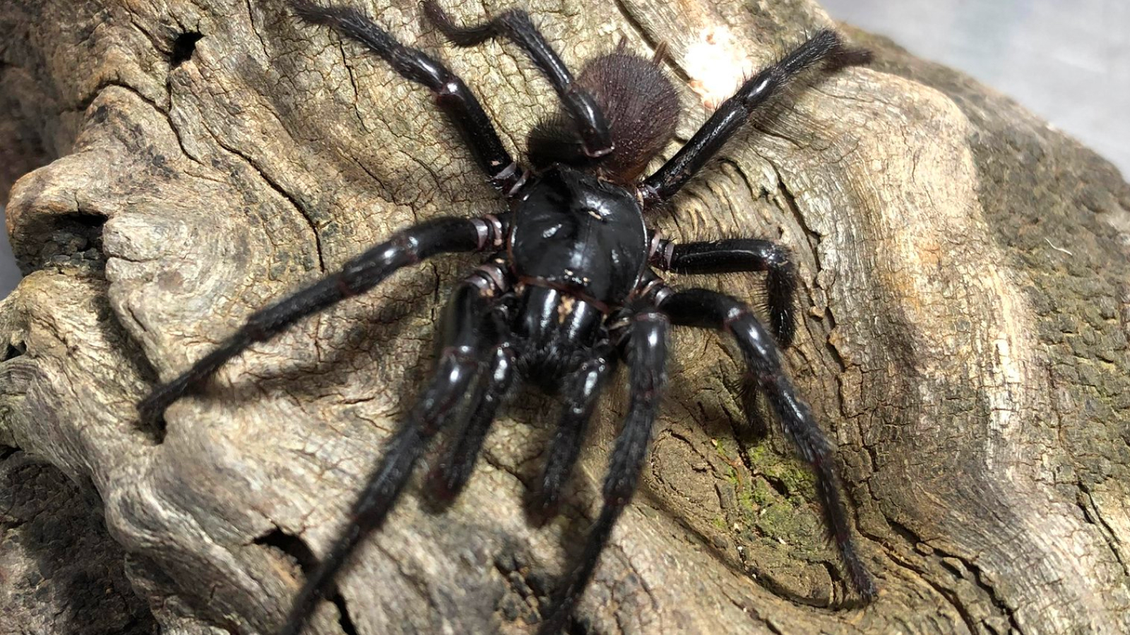 www.livescience.com