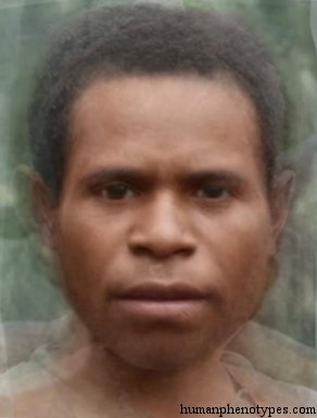 tapiridm.jpg