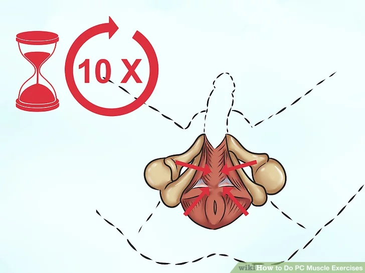Image titled Do PC Muscle Exercises Step 3