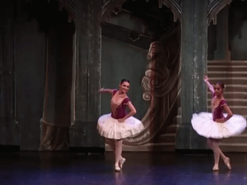 Ballet Ballare GIF - Ballet Ballare Ballerina - Discover & Share GIFs