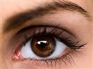 www.ophthalmologyweb.com