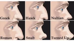 What Does An Attractive Nose Look Like ...