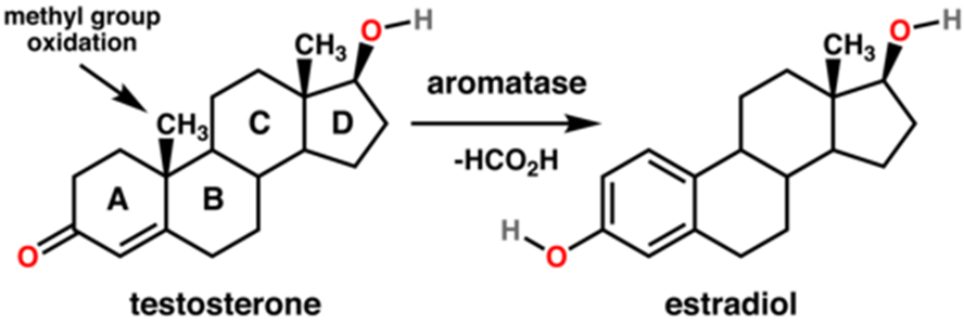 4177656_1717615866064.png 4177656_1717615866064.png