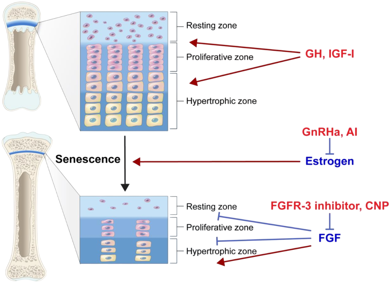 Bild 2025 08 09 115620286 Photoroom Bild 2025 08 09 115620286 Photoroom