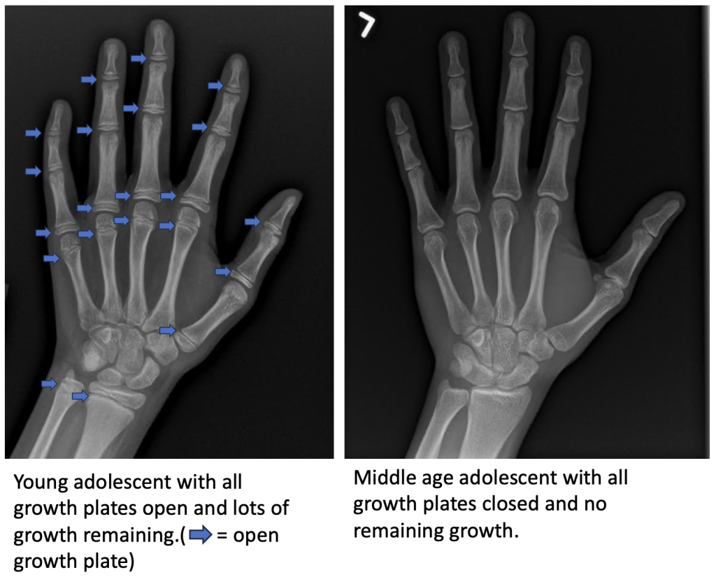 1754838598781 1754838598781