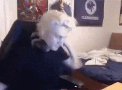 Xqc Smash GIF - Xqc Smash Xqcow - Discover & Share GIFs Xqc Smash GIF - Xqc Smash Xqcow - Discover & Share GIFs