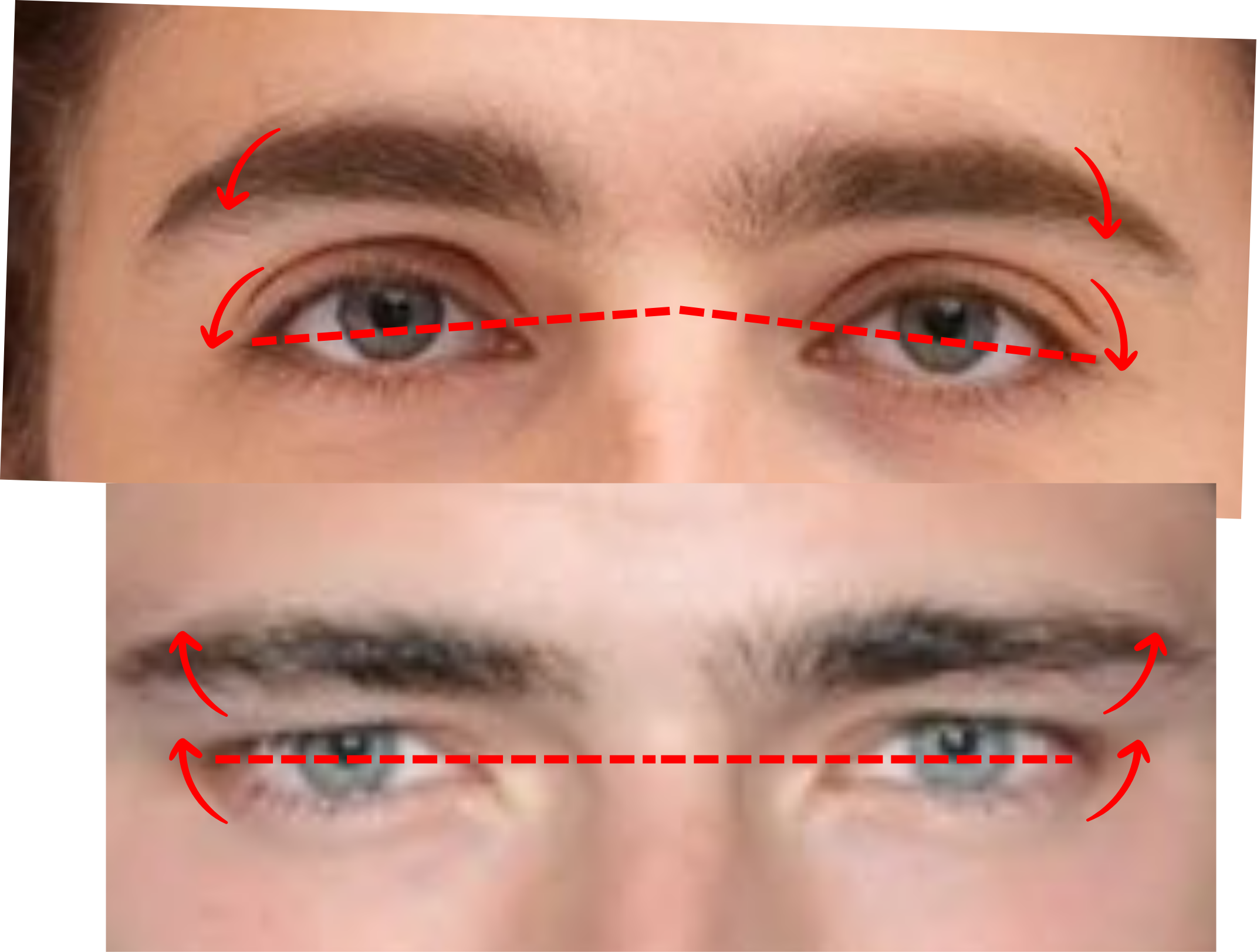 Hunter___Prey_Eyes.png