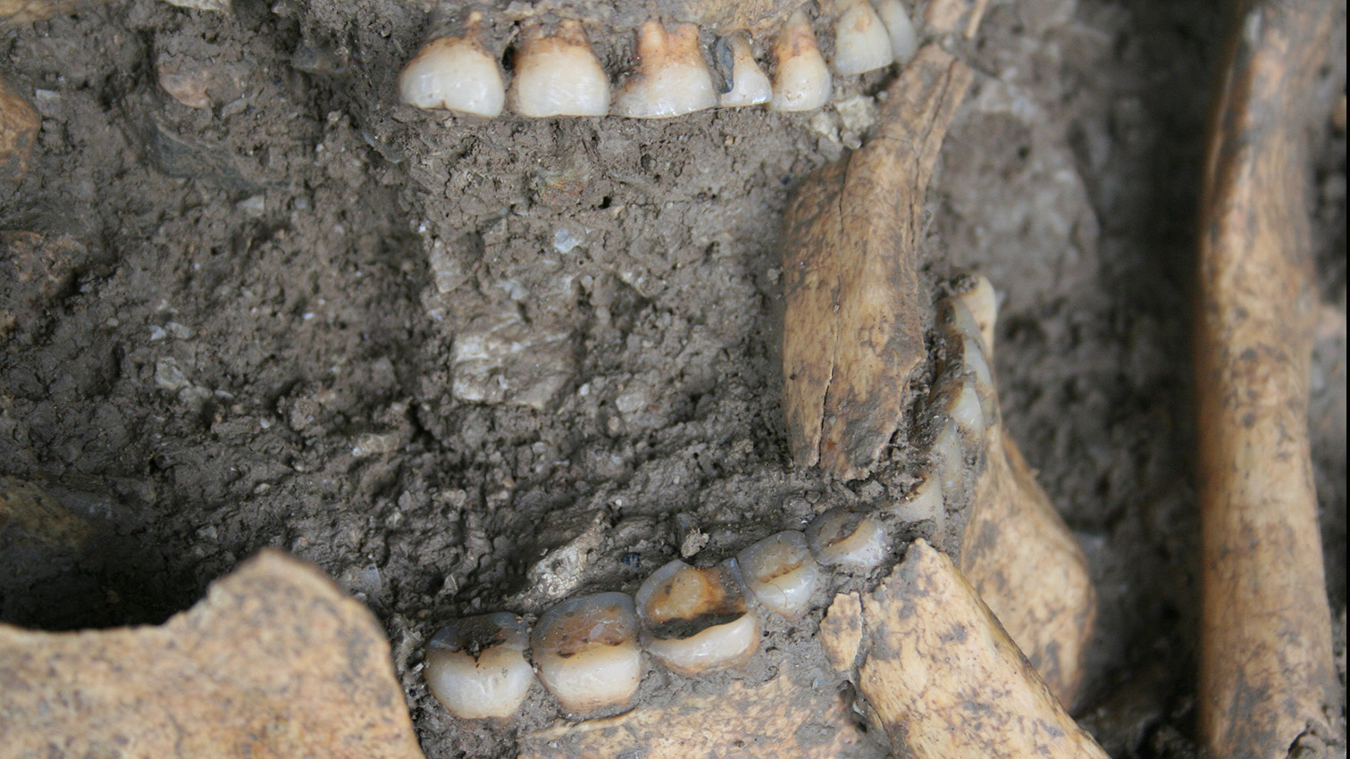 projects.research-and-innovation.ec.europa.eu