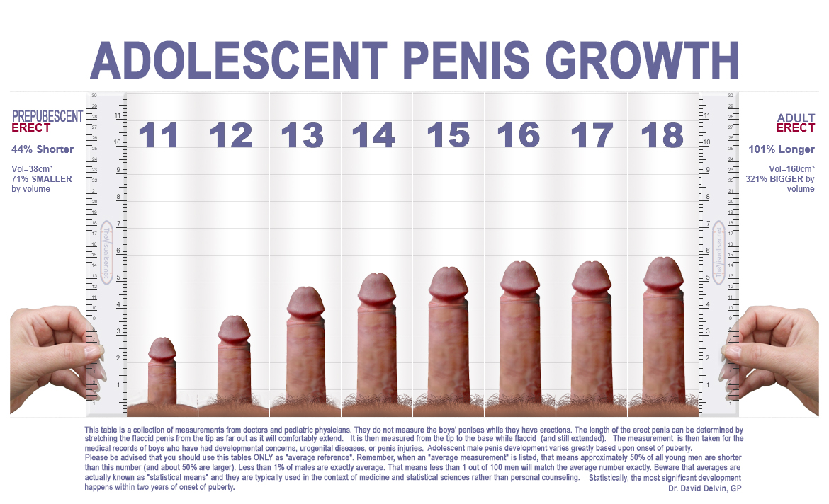Penis size chart nude - Pics and galleries