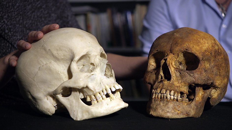medieval period | Beauty in the Bones