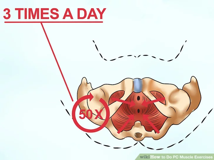 Image titled Do PC Muscle Exercises Step 4 Image titled Do PC Muscle Exercises Step 4