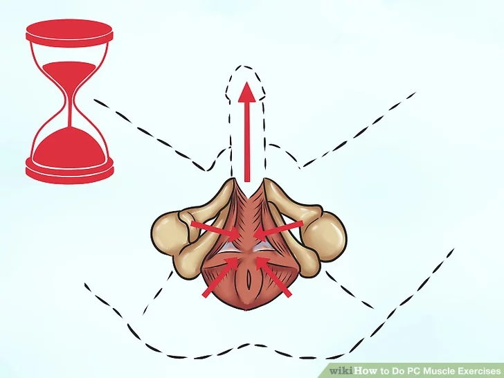 Image titled Do PC Muscle Exercises Step 10 Image titled Do PC Muscle Exercises Step 10