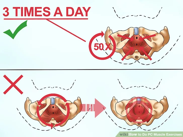 Image titled Do PC Muscle Exercises Step 8 Image titled Do PC Muscle Exercises Step 8